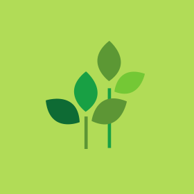 깨끗한나라우 로고