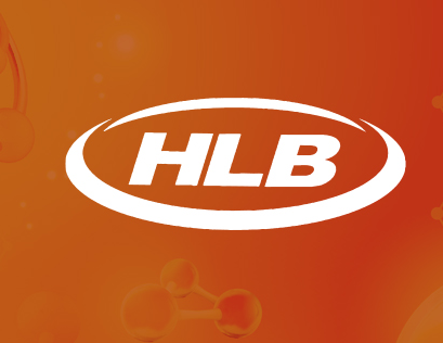 HLB그룹